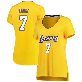 Women's Larry Nance Los Angeles Lakers Gold Jersey - Icon Edition - Fast Break